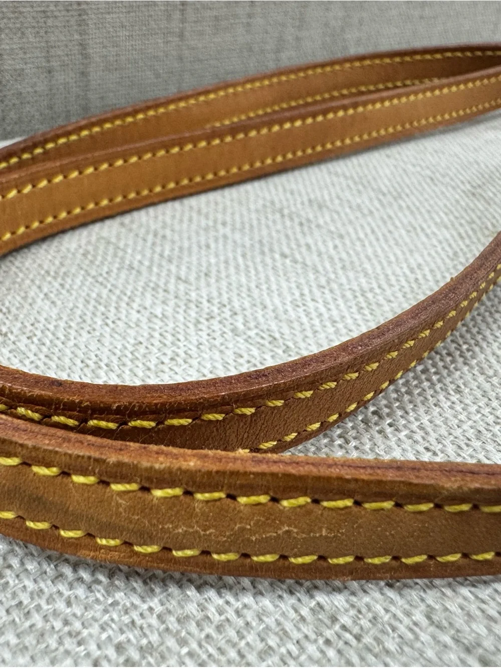 Louis Vuitton iconic louis
